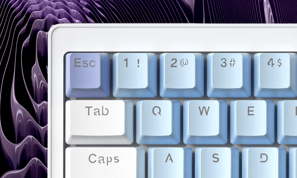 Vista del modelo BD63