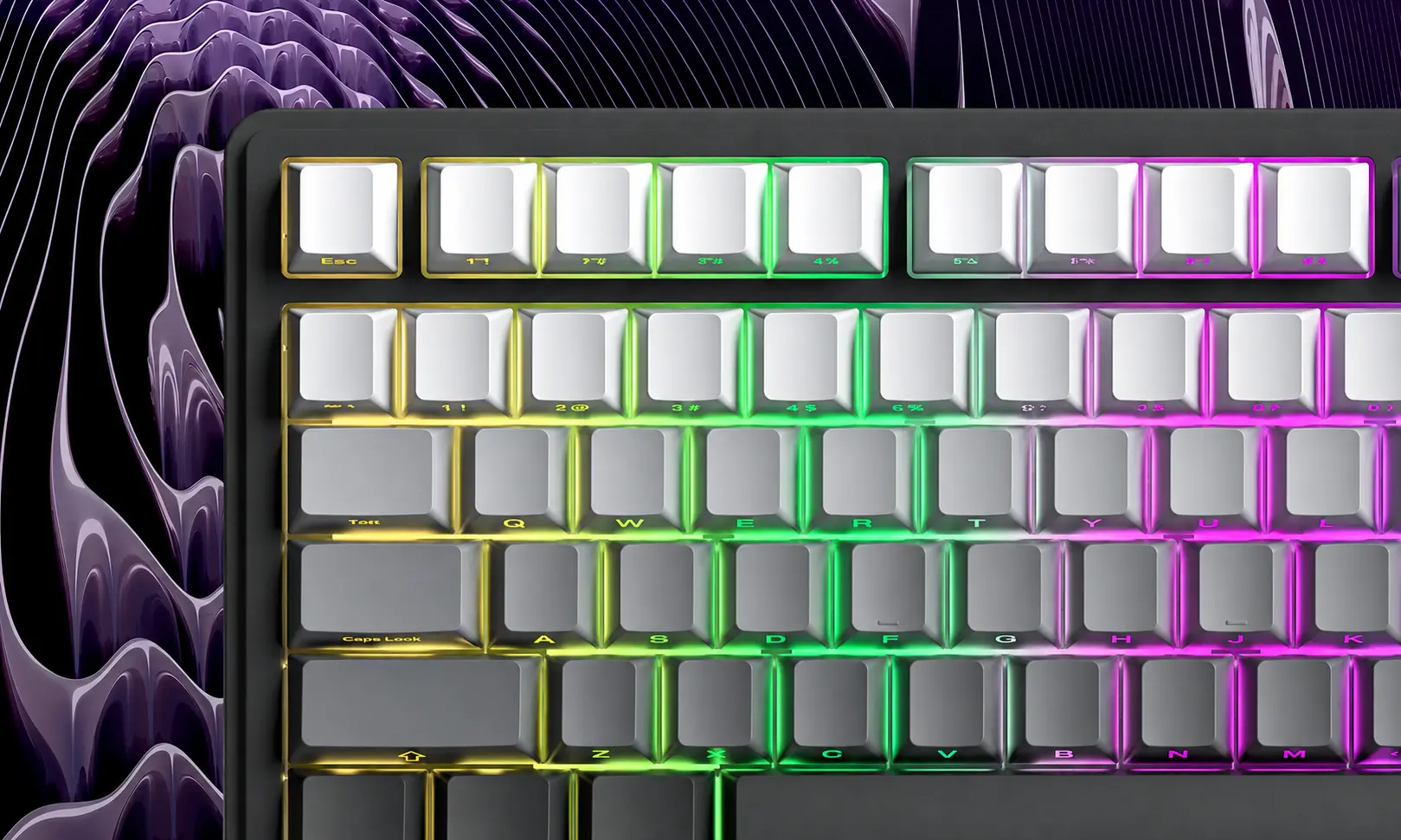 Vista del modelo RX75PRO