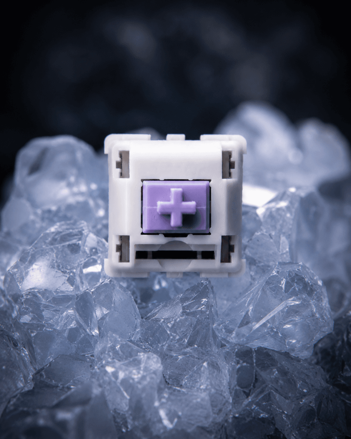 Purple Switch en escena de producto