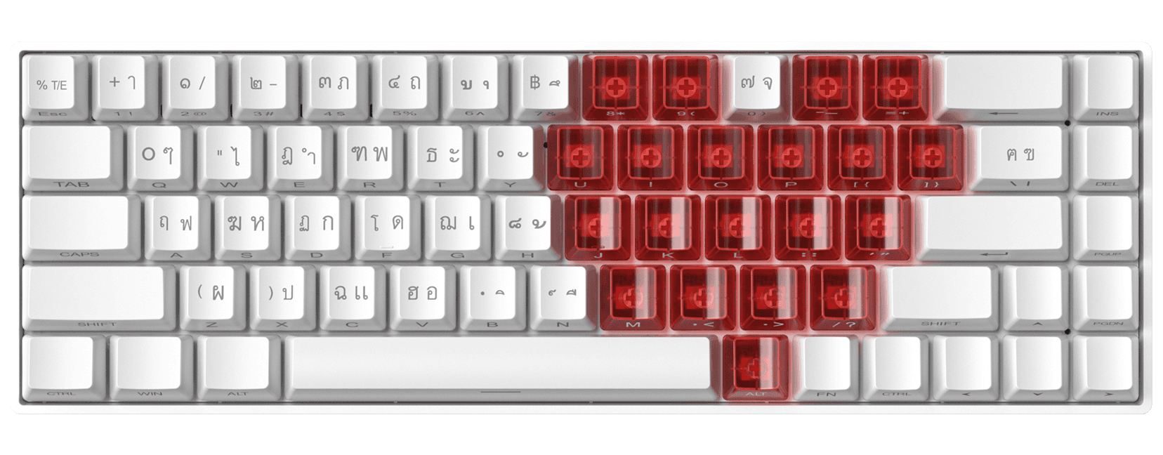 Teclado mecánico Zifriend TK68 65% color blanco, switch Verde Menta — vista principal